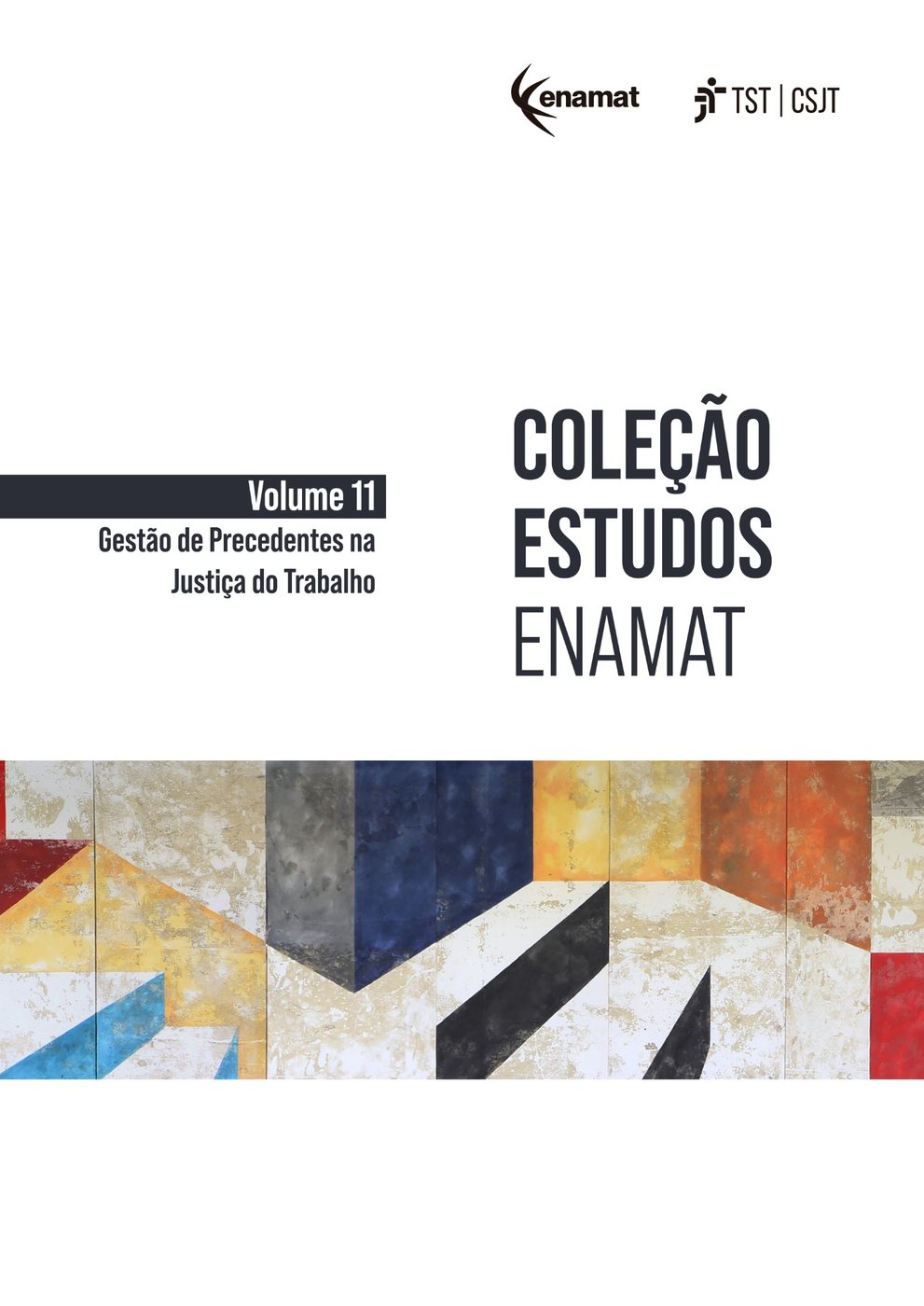 Coleção Estudos ENAMAT — Volume 11